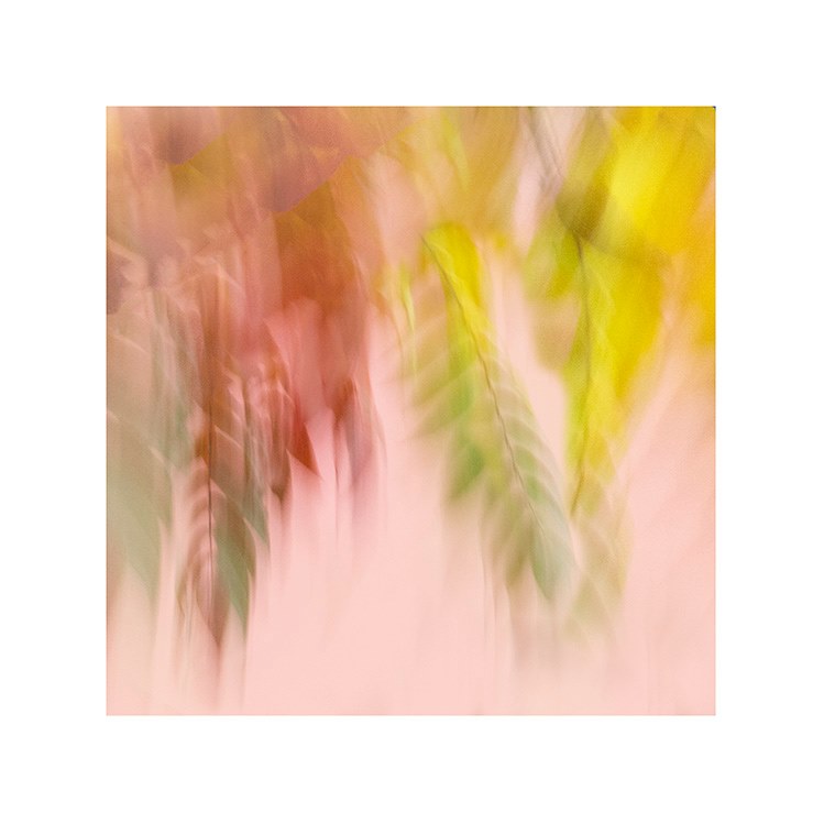 JANA VAŇOURKOVÁ | fotokontakt.cz | lidé