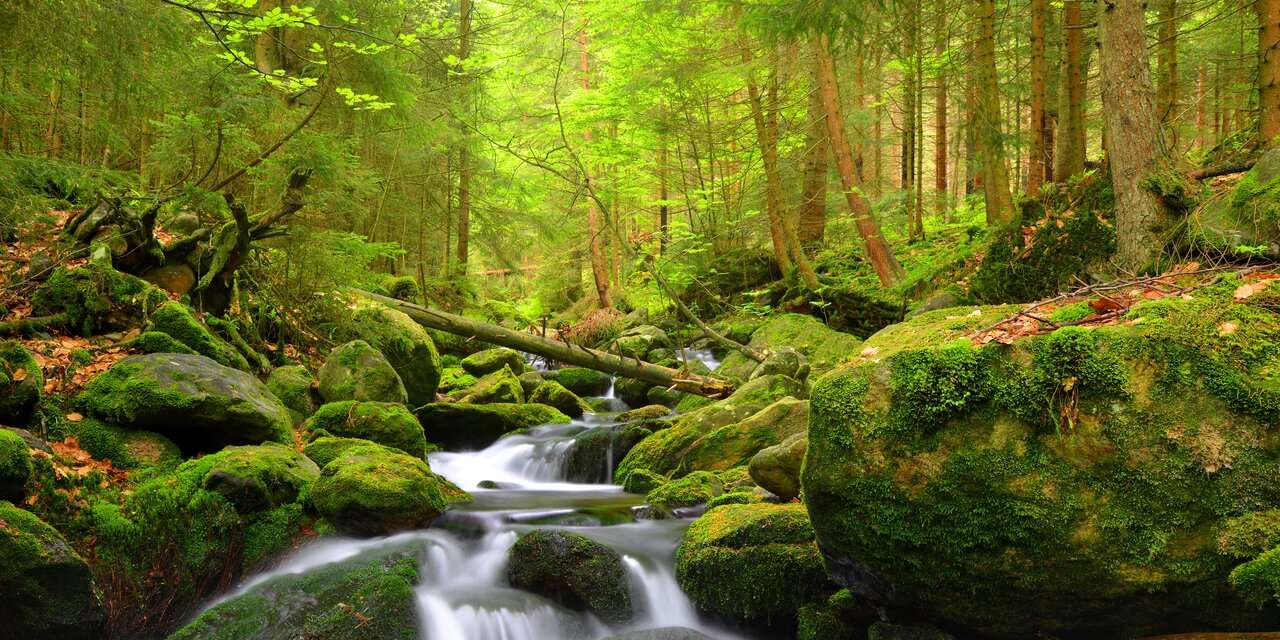 Šumava - lokace FOTOKONTAKT